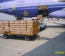 南京扬州宠物托运优质商家推荐 安心出行，专业货运代理服务全解析